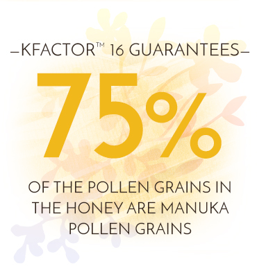 Mật ong Manuka Wedderspoon KFactor 16
